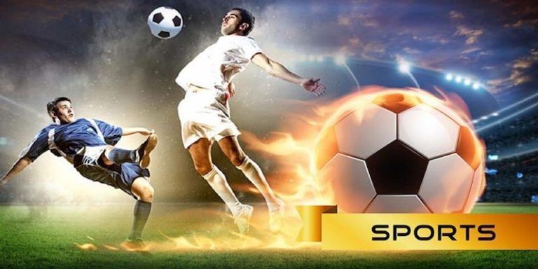 9464bet Descubra o vibrante mundo dos esportes online em